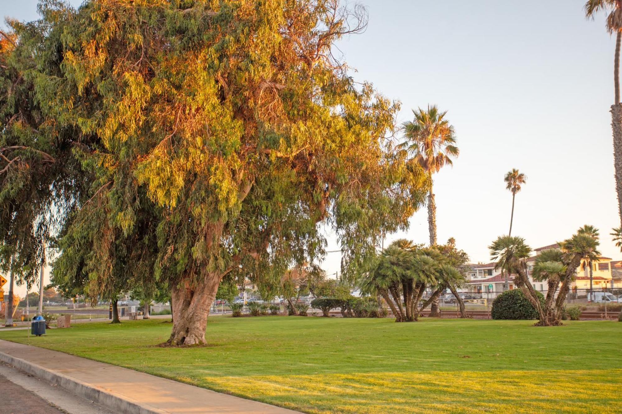 1 Block From Beach - Steps From Restaurants & Shops Oceanside Exterior photo